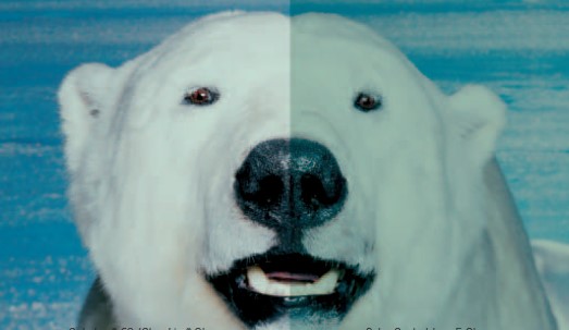 AG老哥俱乐部-老哥必备的交流社区