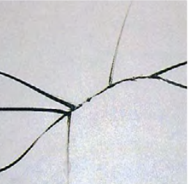 AG老哥俱乐部-老哥必备的交流社区