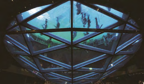 AG老哥俱乐部-老哥必备的交流社区